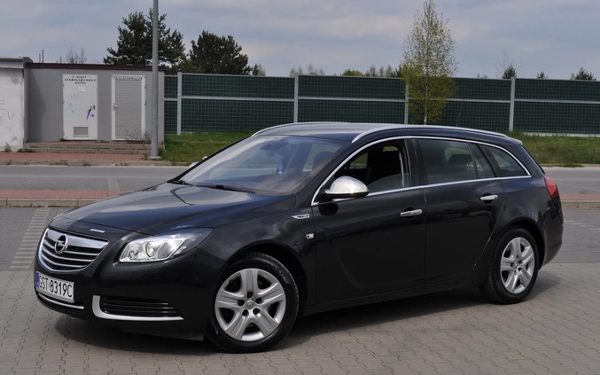 Opel Insignia cena 24900 przebieg: 232400, rok produkcji 2010 z Ruciane-Nida małe 379